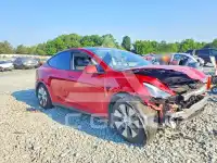 2023 Tesla Model Y photo