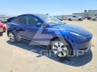 2023 Tesla Model Y фото