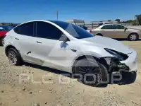 2023 Tesla Model Y фото