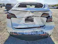 2023 Tesla Model Y photo