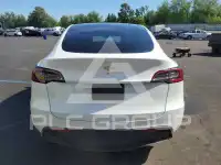 2023 Tesla Model Y фото