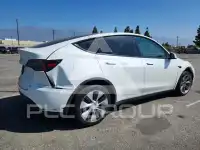2023 Tesla Model Y photo