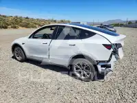 2023 Tesla Model Y photo