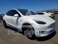 2023 Tesla Model Y фото