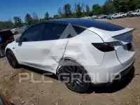 2023 Tesla Model Y photo
