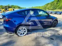 2023 Tesla Model Y photo