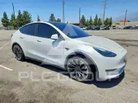 2023 Tesla Model Y фото
