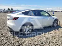 2023 Tesla Model Y photo
