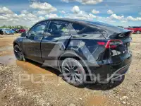 2023 Tesla Model Y photo