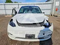 2023 Tesla Model Y фото