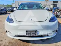 2023 Tesla Model Y фото