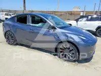 2023 Tesla Model Y photo