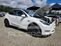 2023 Tesla Model Y фото