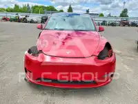 2023 Tesla Model Y фото