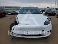 2023 Tesla Model Y фото