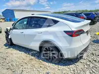 2023 Tesla Model Y фото
