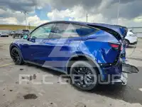 2023 Tesla Model Y фото