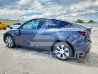 2023 Tesla Model Y фото
