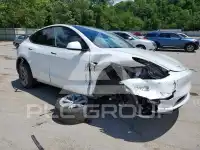 2023 Tesla Model Y photo