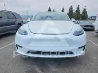 2023 Tesla Model Y фото