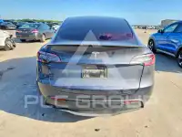 2023 Tesla Model Y фото