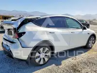 2023 Tesla Model Y photo
