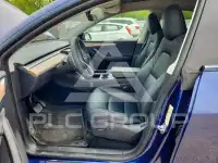 2023 Tesla Model Y photo
