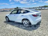2023 Tesla Model Y фото