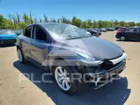 2023 Tesla Model Y photo