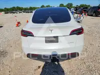 2023 Tesla Model Y photo