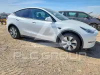2023 Tesla Model Y фото