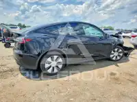2023 Tesla Model Y photo