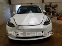 2023 Tesla Model Y photo