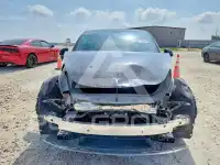 2023 Tesla Model Y photo