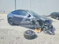 2023 Tesla Model Y фото