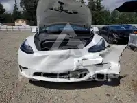2023 Tesla Model Y фото