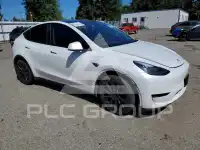 2023 Tesla Model Y photo