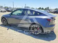 2023 Tesla Model Y photo