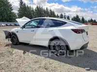2023 Tesla Model Y фото