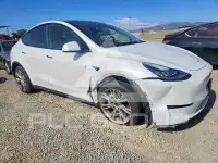 2023 Tesla Model Y фото