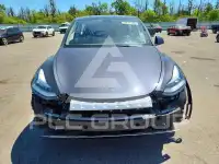 2023 Tesla Model Y photo