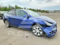 2023 Tesla Model Y photo