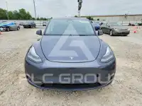 2023 Tesla Model Y photo
