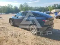2023 Tesla Model Y фото
