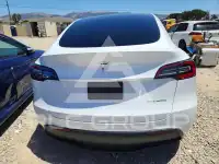 2023 Tesla Model Y фото