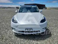 2023 Tesla Model Y фото