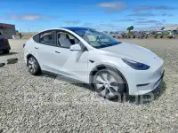 2023 Tesla Model Y фото