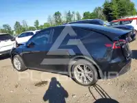2023 Tesla Model Y photo