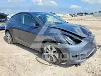 2023 Tesla Model Y photo