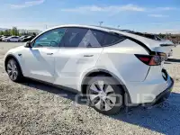 2023 Tesla Model Y photo